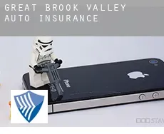 Great Brook Valley  auto insurance