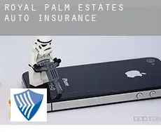 Royal Palm Estates auto insurance
