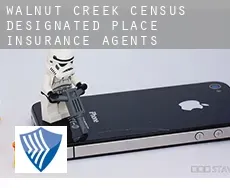 Walnut Creek  insurance agents