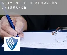 Gray Mule  homeowners insurance