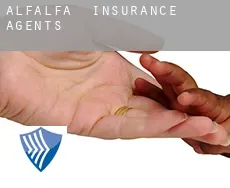 Alfalfa  insurance agents