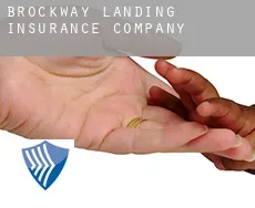 Brockway Landing  insurance company