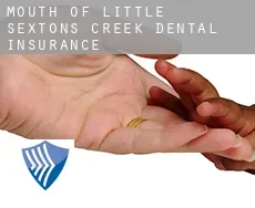 Mouth of Little Sextons Creek  dental insurance