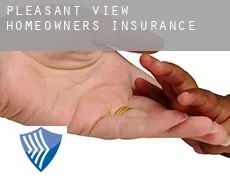 Pleasant View  homeowners insurance