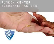 Punkin Center  insurance agents