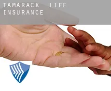 Tamarack  life insurance