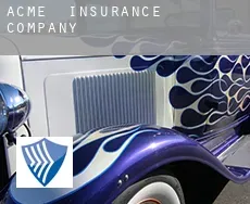 Acme  insurance company