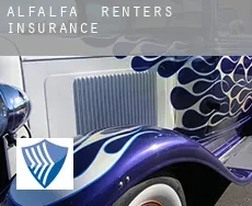 Alfalfa  renters insurance