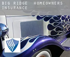 Big Ridge  homeowners insurance