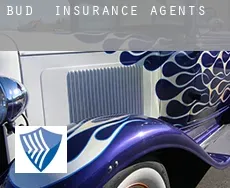 Bud  insurance agents