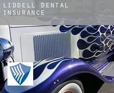 Liddell  dental insurance