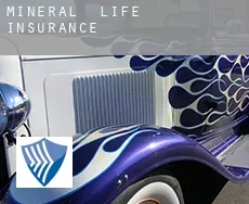 Mineral  life insurance
