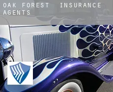 Oak Forest insurance agents