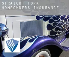Straight Fork homeowners insurance