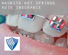 Waunita Hot Springs  auto insurance