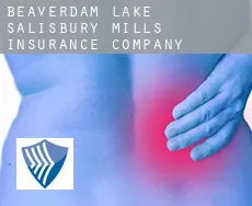 Beaverdam Lake-Salisbury Mills  insurance company