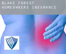 Blake Forest  homeowners insurance