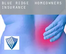 Blue Ridge  homeowners insurance