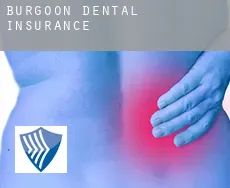 Burgoon  dental insurance