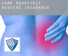 Camp Roosevelt renters insurance