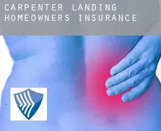 Carpenter Landing homeowners insurance