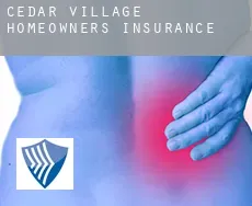 Cedar Village  homeowners insurance