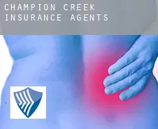 Champion Creek  insurance agents