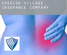 Cheslou Village insurance company