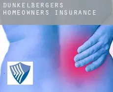 Dunkelbergers  homeowners insurance