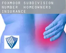Foxmoor Subdivision Number 2  homeowners insurance