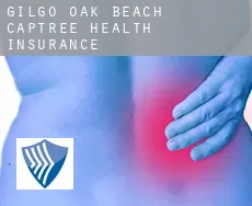 Gilgo-Oak Beach-Captree  health insurance