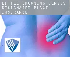 Little Browning  insurance
