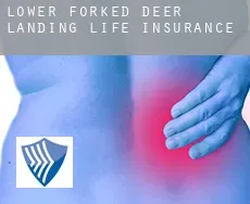 Lower Forked Deer Landing  life insurance