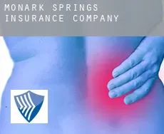 Monark Springs  insurance company