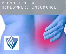 Round Timber  homeowners insurance