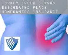 Turkey Creek  homeowners insurance