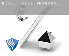 Brule  life insurance