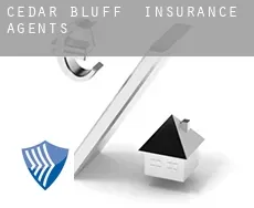 Cedar Bluff  insurance agents