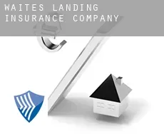 Waites Landing  insurance company