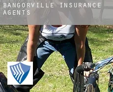 Bangorville  insurance agents