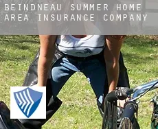 Beindneau Summer Home Area  insurance company