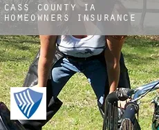Cass County  homeowners insurance