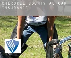 Cherokee County  car insurance