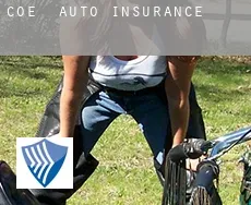 Coe  auto insurance