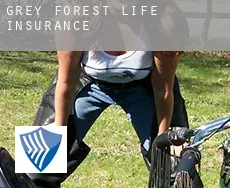 Grey Forest  life insurance