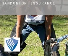 Hammonton insurance