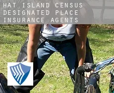 Hat Island  insurance agents