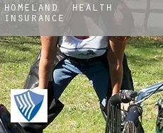 Homeland  health insurance