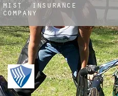 Mist  insurance company