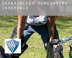 Shanagolden  homeowners insurance